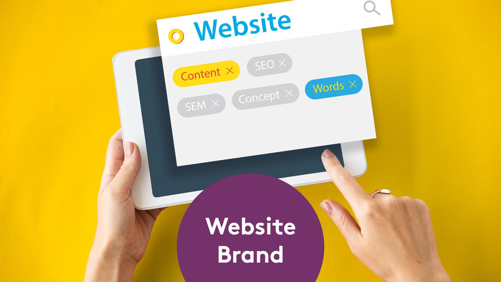 Felio - Blog | Website Brand